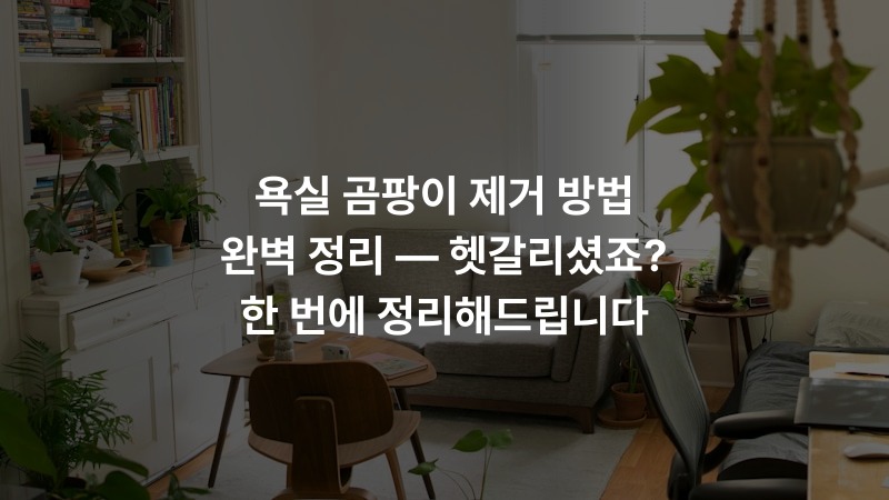 욕실 곰팡이 제거 방법 완벽 정리 — 헷갈리셨죠? 한 번에 정리해드립니다