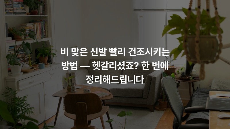 비 맞은 신발 빨리 건조시키는 방법 — 헷갈리셨죠? 한 번에 정리해드립니다