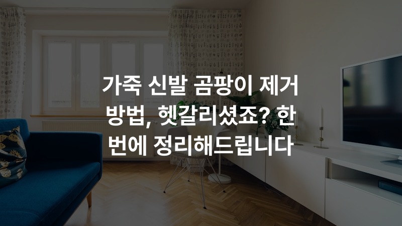 가죽 신발 곰팡이 제거 방법, 헷갈리셨죠? 한 번에 정리해드립니다
